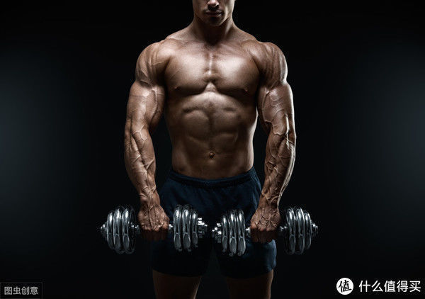 肌肉|为了最大化增肌,我们应该参照职业健美运动员的训练方式吗?