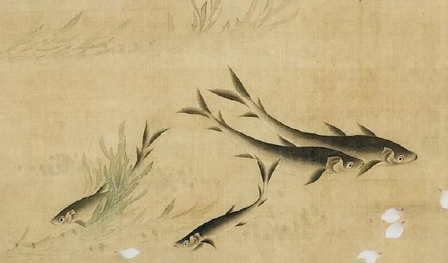绘画#恽寿平画鱼真讲究,比齐白石画得更细腻,风格清新又典雅