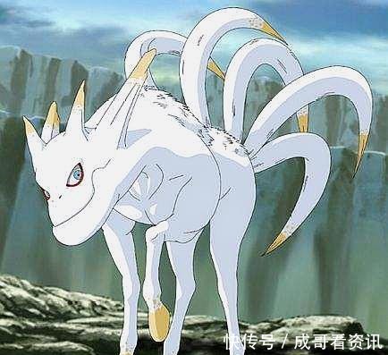 暴走|从未暴走的5只尾兽,实力很强但极其温顺!