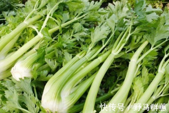 食物|誉为天然的“减肥药”，3种食物经常吃，体重一降一个准
