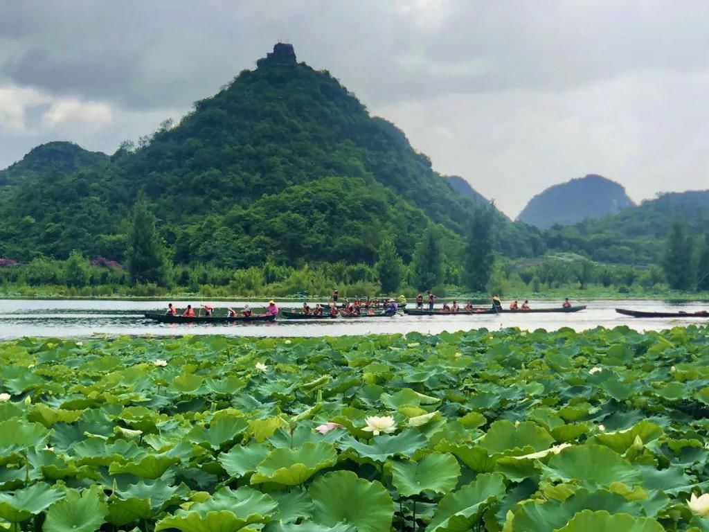 景区|公示！普者黑旅游景区拟确定为国家5A级旅游景区