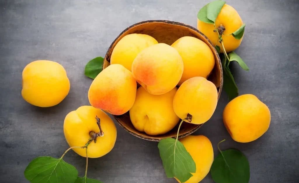 绿水|诗词之杏:绿水满池塘,点水蜻蜓避燕忙