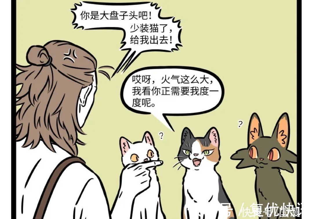 小伙|非人哉:请善待身边的猫,可能是大士来度你,杨戬表示欲罢不能