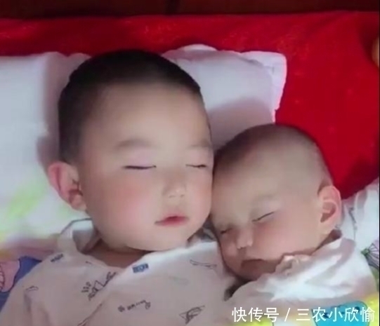 睡着|哥哥哄弟弟一起睡着后，掀开被子一看，妈妈的心被暖化了