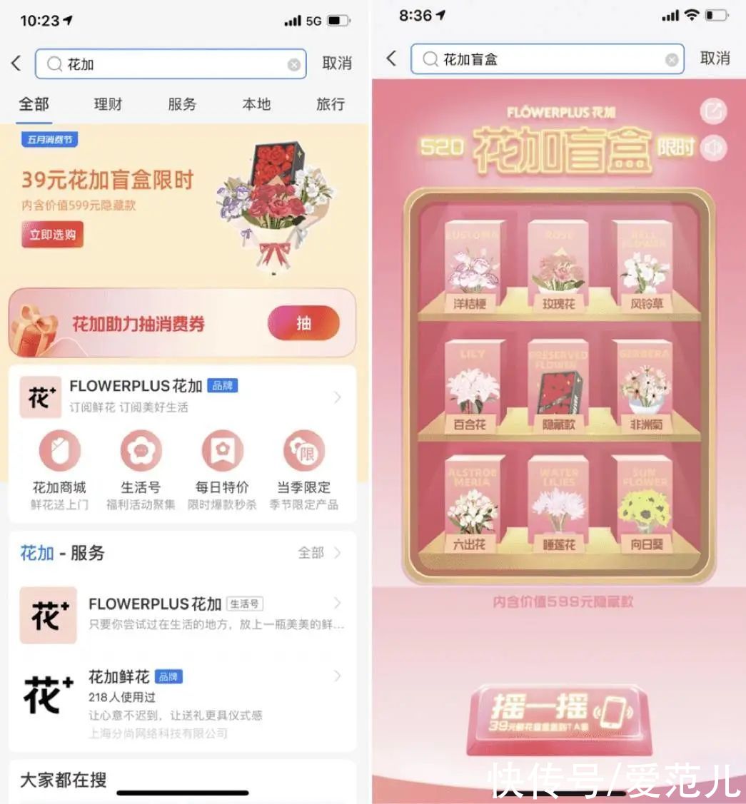 支付宝重压搜索运营 走了和微信 百度不同的路 良品联社女性美容时尚经验分享专业平台