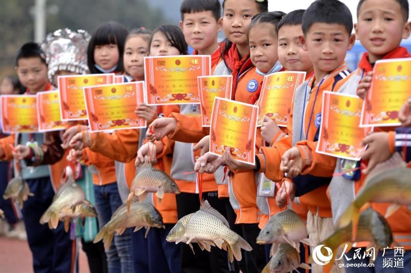 广西三江：奖励活鲤鱼 勤学跃龙门