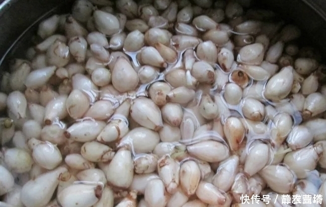 红枣|农村一种埋土里的野果,过去5毛一碗抢着吃,如今却要35元一斤