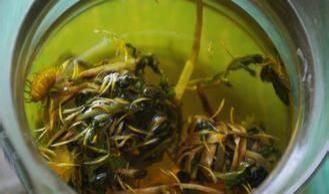 养肝护肝|肝毒最怕的5种碱性食物,饭前饭后多吃,修复肝细胞,养肝更强肝