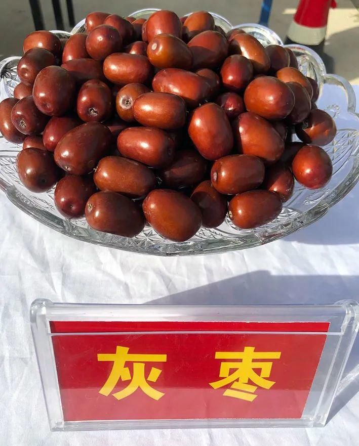 资料图|11月5日，新疆·若羌第十四届“楼兰文化·红枣节”将盛大开幕！