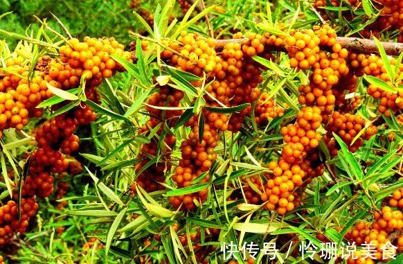 乳腺癌|立秋后,晚上当零食吃几颗,能防乳腺癌,排毒养颜,早食早好