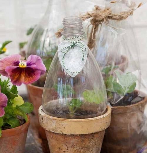 将这些“资源”变成养花利器，有趣又实用！你学会变通了吗？