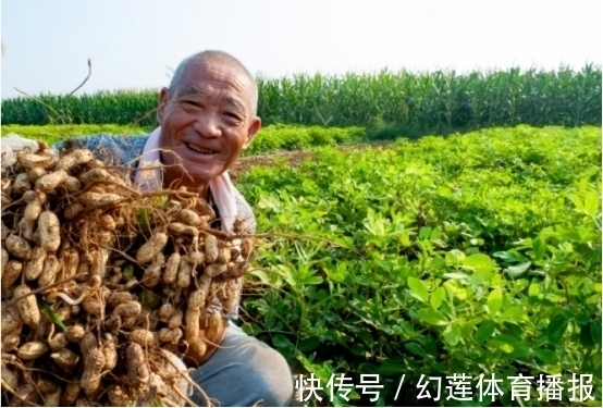 高血脂|高血脂能否吃花生？退休院士忠告：不想血管堵塞，3物要少吃