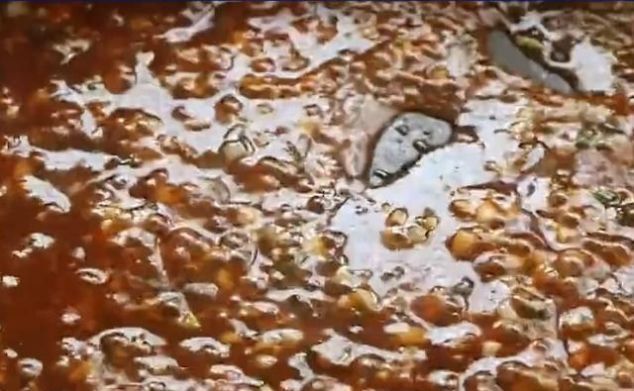 辣椒炒鸡蛋新做法，不用炒不用腌，上桌就被抢光光