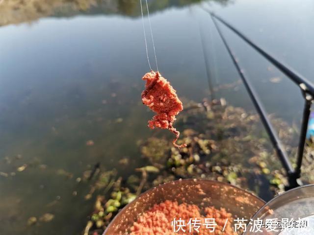 锅底型|一到中午就停口该怎么办?频繁补窝是下策,教你一招打开鱼口