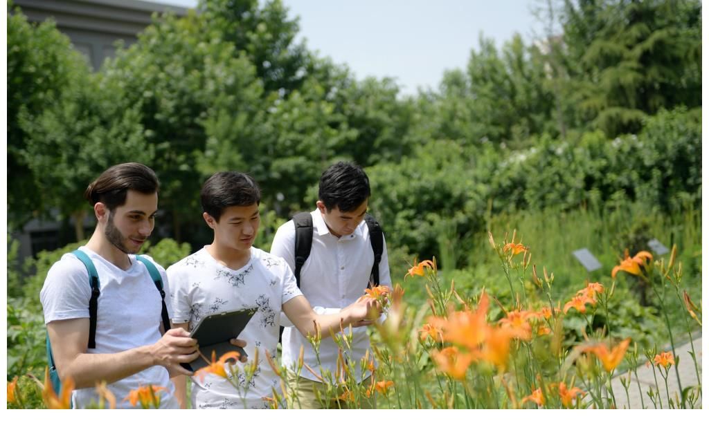 学渣|英国留学生布利亚斯：在英国以为我是学霸，来到中国，我成了学渣