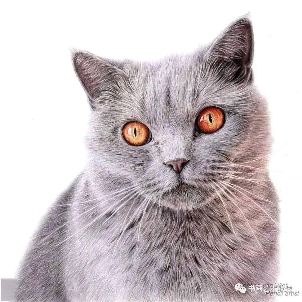  美女|一匹马画了16年！美女学渣逆袭成功，坚持下来很酷！