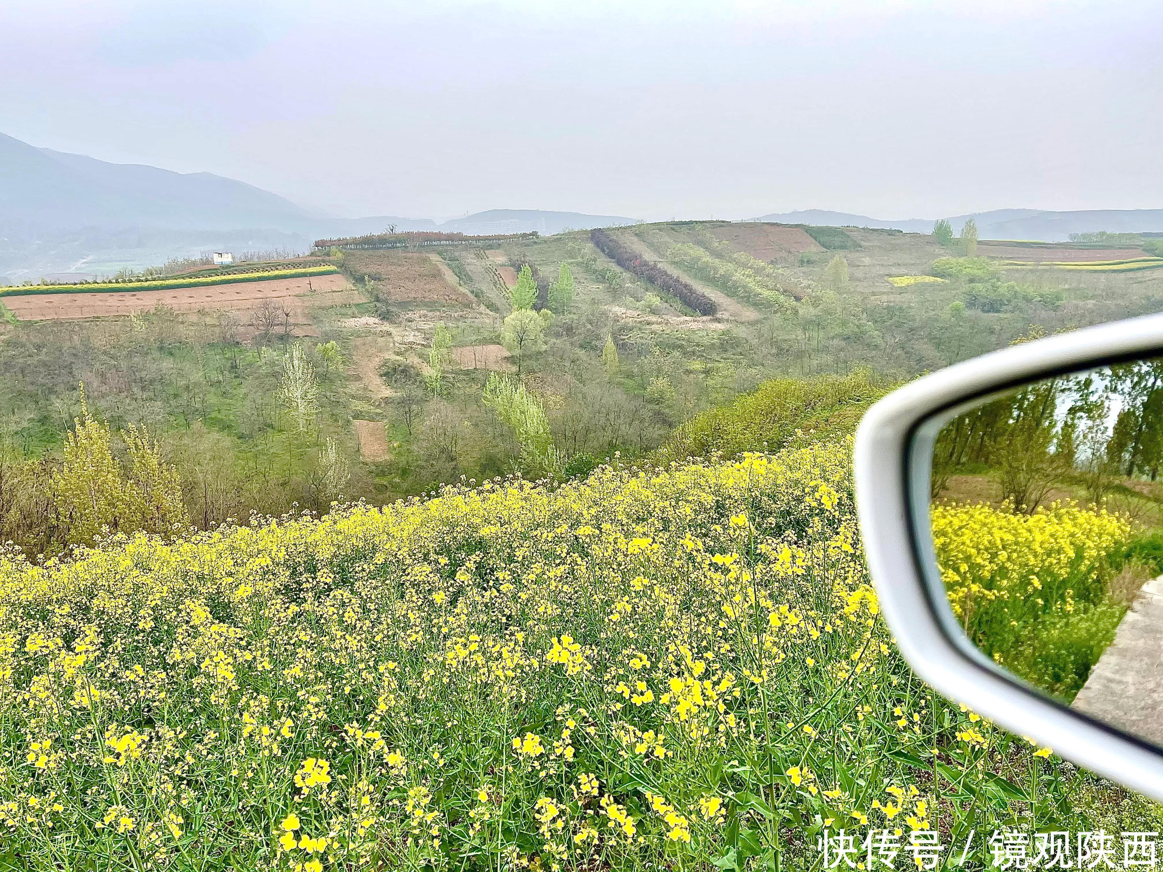 赶集、赏花、咥美食，春天到蓝田焦岱，体验最真实的乡村旅游