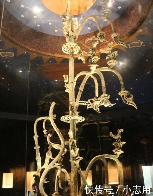 母猴|"1个杯子卖了2亿,2只猴子卖了3亿,这个瓶子卖了5亿,网友:值了"