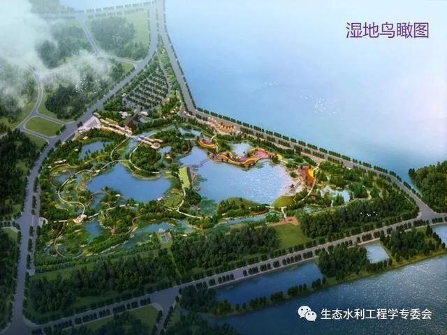 河流|「专家视角」许继军：河流生态修复理念、技术与实践