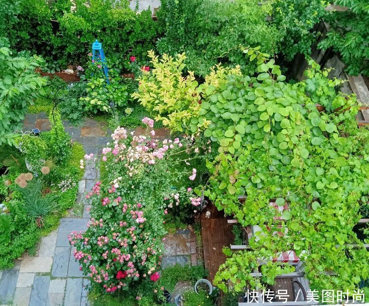 美好时光|花园改造:3年前买了栋带170㎡花园的房子,过上种花草的乡村生活