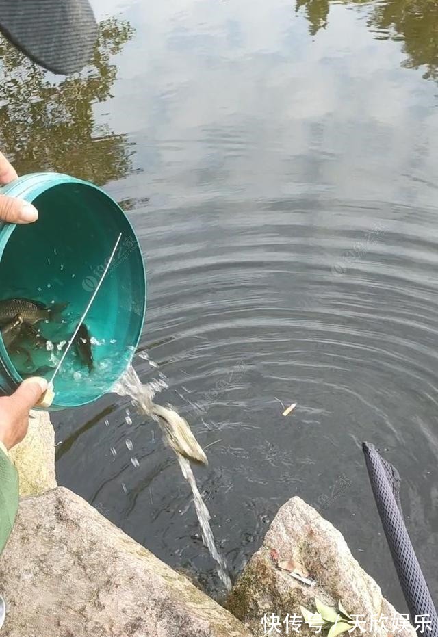 向高龄钓友请教的“摇三摇”钓法,毫无保留的分享给大家