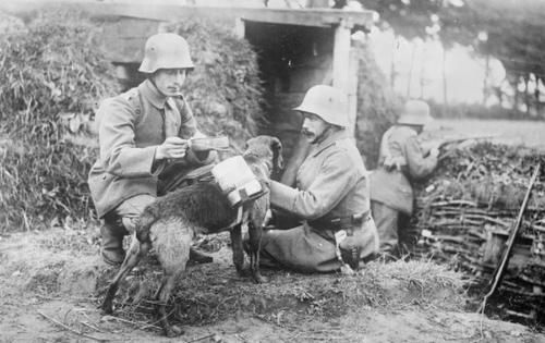 一战德军应急口粮，切下一块就能煮一锅浓汤，但为何德军不喜欢？