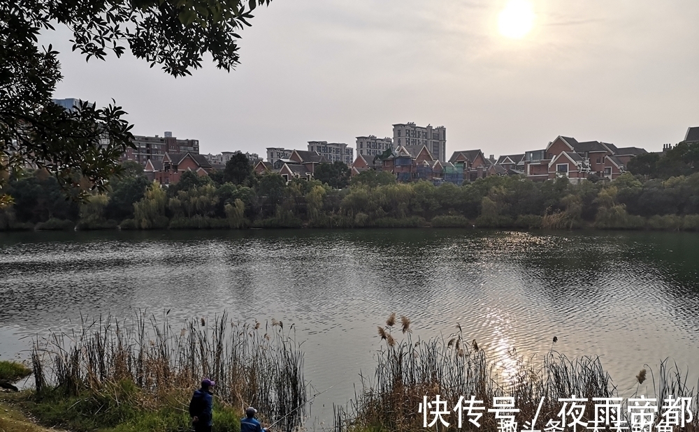 鱼窝|冬季钓鱼,先找到鱼窝再打窝,凡是天然鱼窝,一定满足这3特征