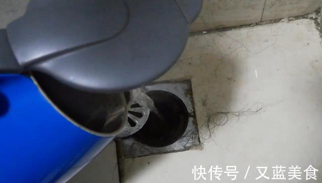 卫生间里老有小黑虫赶紧倒一碗它，异味黑虫全消灭，快告诉家人