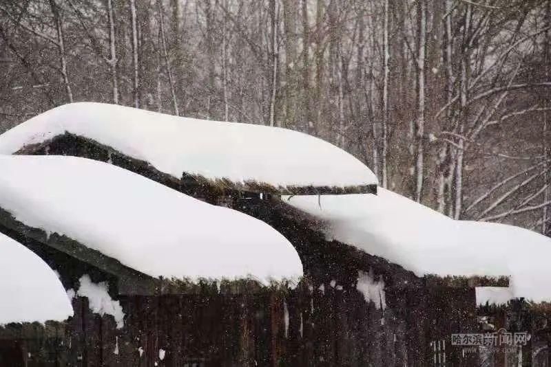 柴河|森工柴河威虎山景区冰雪景观上线