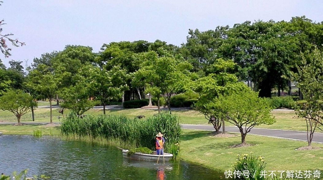 上海一“黑马”镇，或将“撤镇设街”，就在松江境内