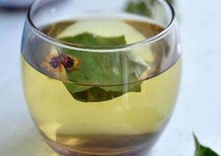 用车前草|车前草的3个功效,中医也是赞不绝口,这样服用对身体最有益!