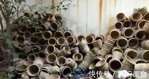 养花还在买花盆学会一招,再不用多花一分钱,一捡一大堆