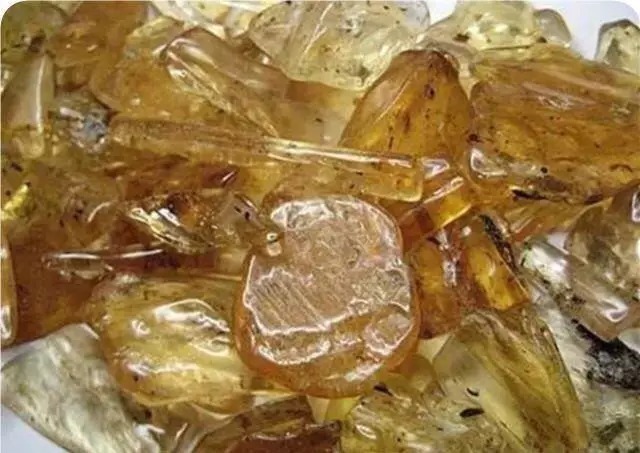 印尼柯巴脂|柯巴脂,和琥珀蜜蜡到底有多像?