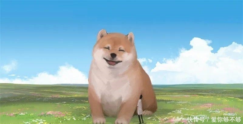 插画|三组各具特色的动物插画,看完很治愈~