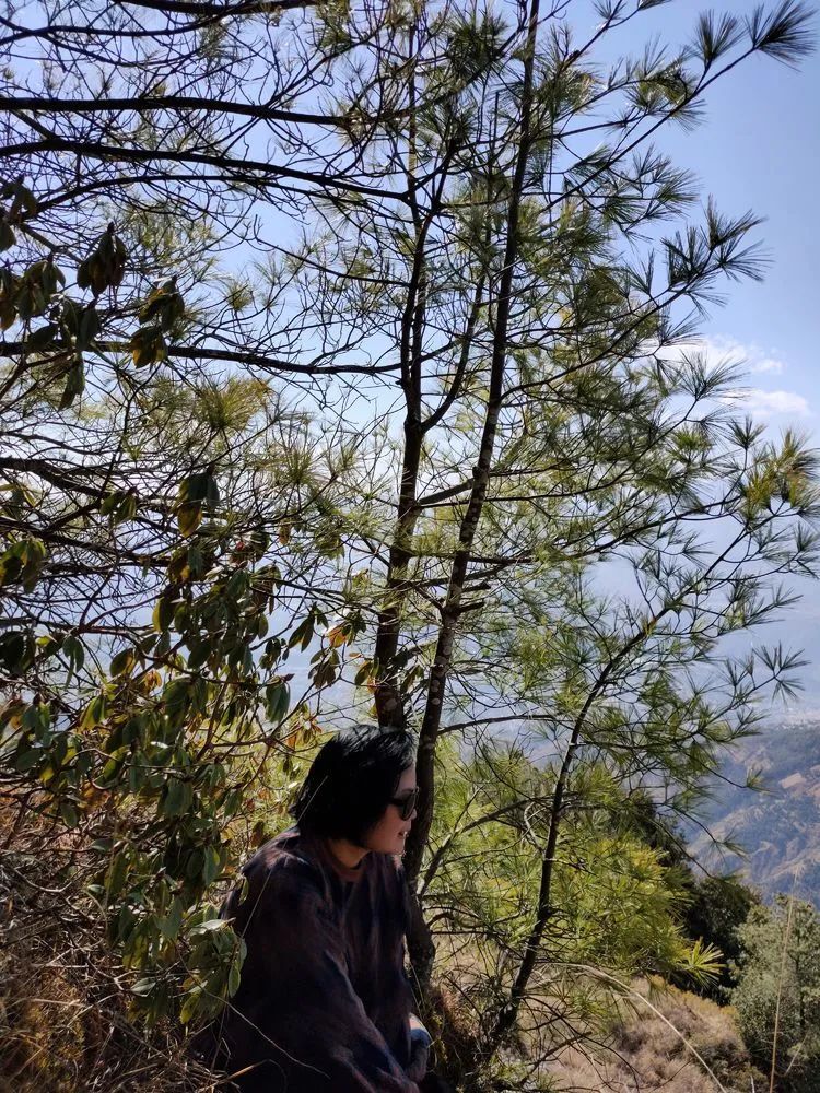 指南村|登顶东川小牯牛山——慈悲殿