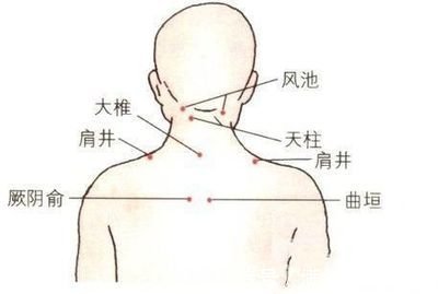 咳嗽|脖子上有一条大筋，捏一捏，至少可调37种疾病！不可不知！