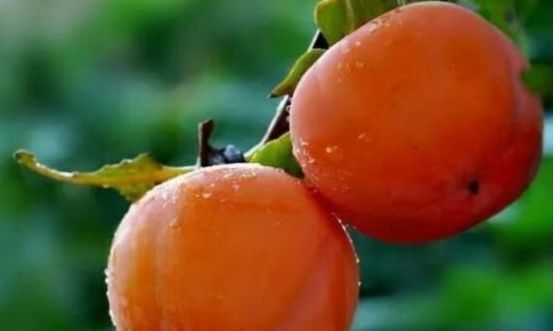 鸿运果|新的一年事事如意,3种鸿运果可以多吃,寓意如意吉祥