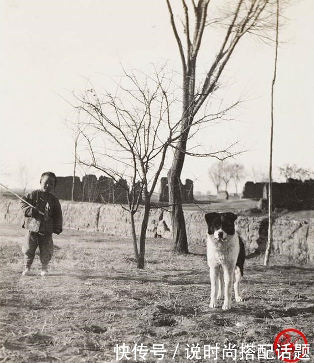 清军|老照片英国人拍摄的1910年陕西！