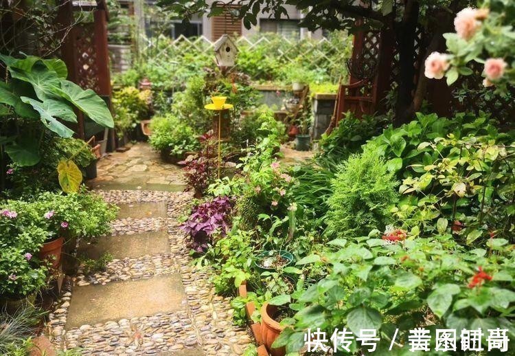 花园|荒废多年的80㎡小院,2年半时间打造成下沉式花园,太漂亮了!