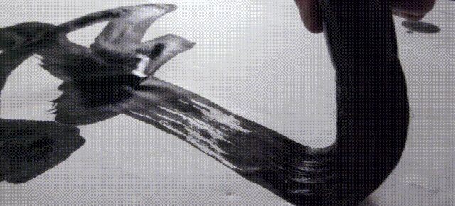  豆瓣|豆瓣9.1，这是什么神仙纪录片？美哭了！