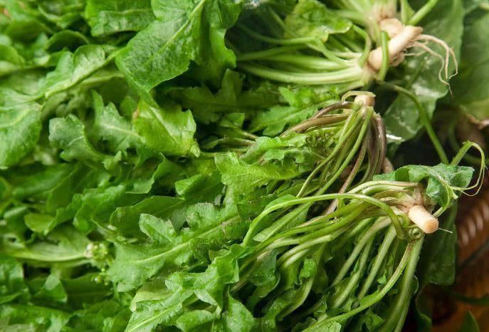 头发白了别急着染, 多吃这几种食物, 还你一头乌黑靓丽的秀发