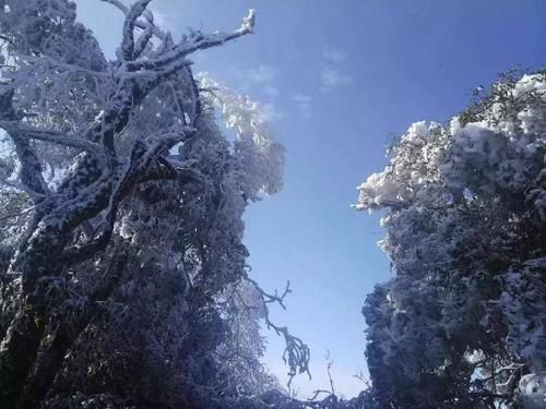 中年|春节自驾游重庆，这些线路不能错过！