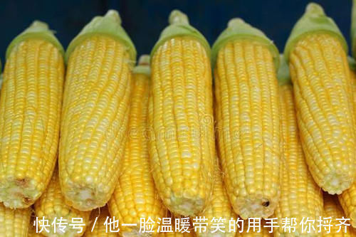 保鲜袋|保存玉米,直接放冰箱,还是煮熟再冷冻?教你一招,新鲜不变味