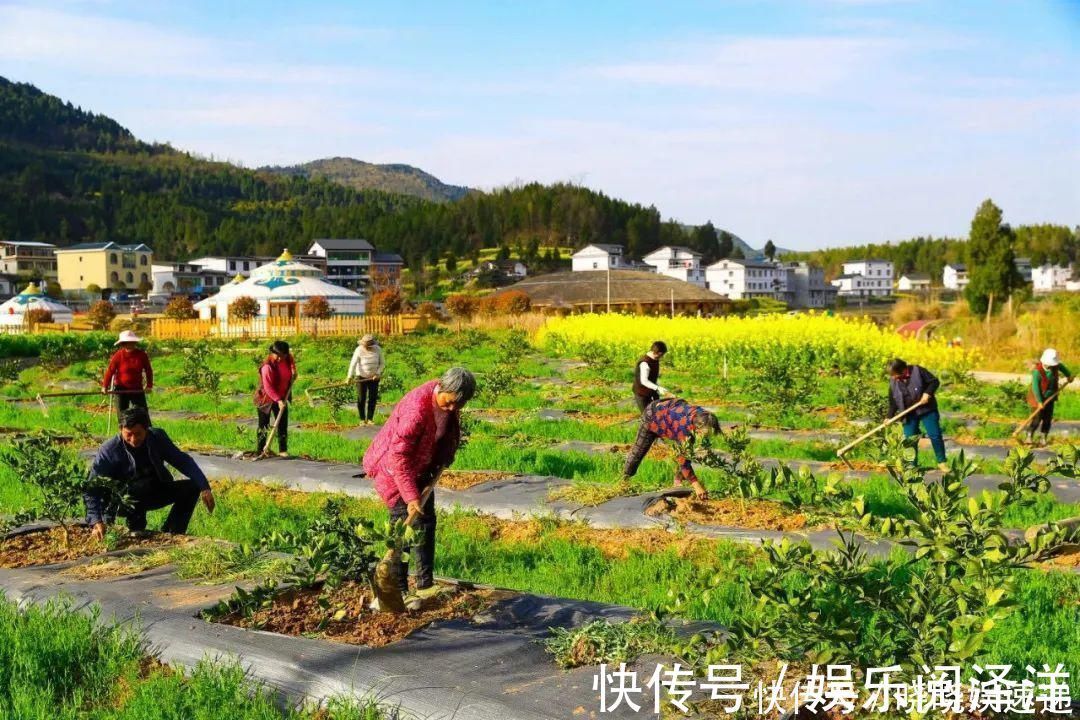 在乡下改造一个小院，种菜养花天天都是乡村田园梦，生活如此惬意