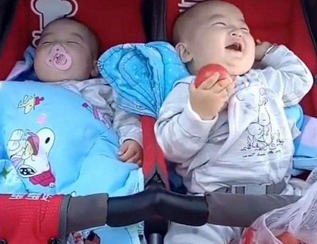 双胞胎|双胞胎哥哥趁弟弟睡着偷吃西红柿, 哥哥得意的表情笑喷妈妈