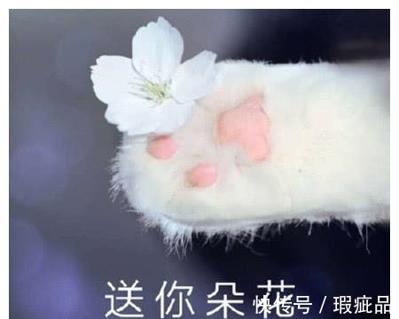 |搞笑段子:我就是想知道:到底是哪位大佛挖的墙角。