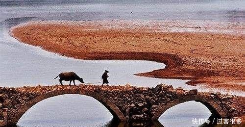 最有禅意的一首诗,仅二十个简单的汉字,却很少有人看得懂