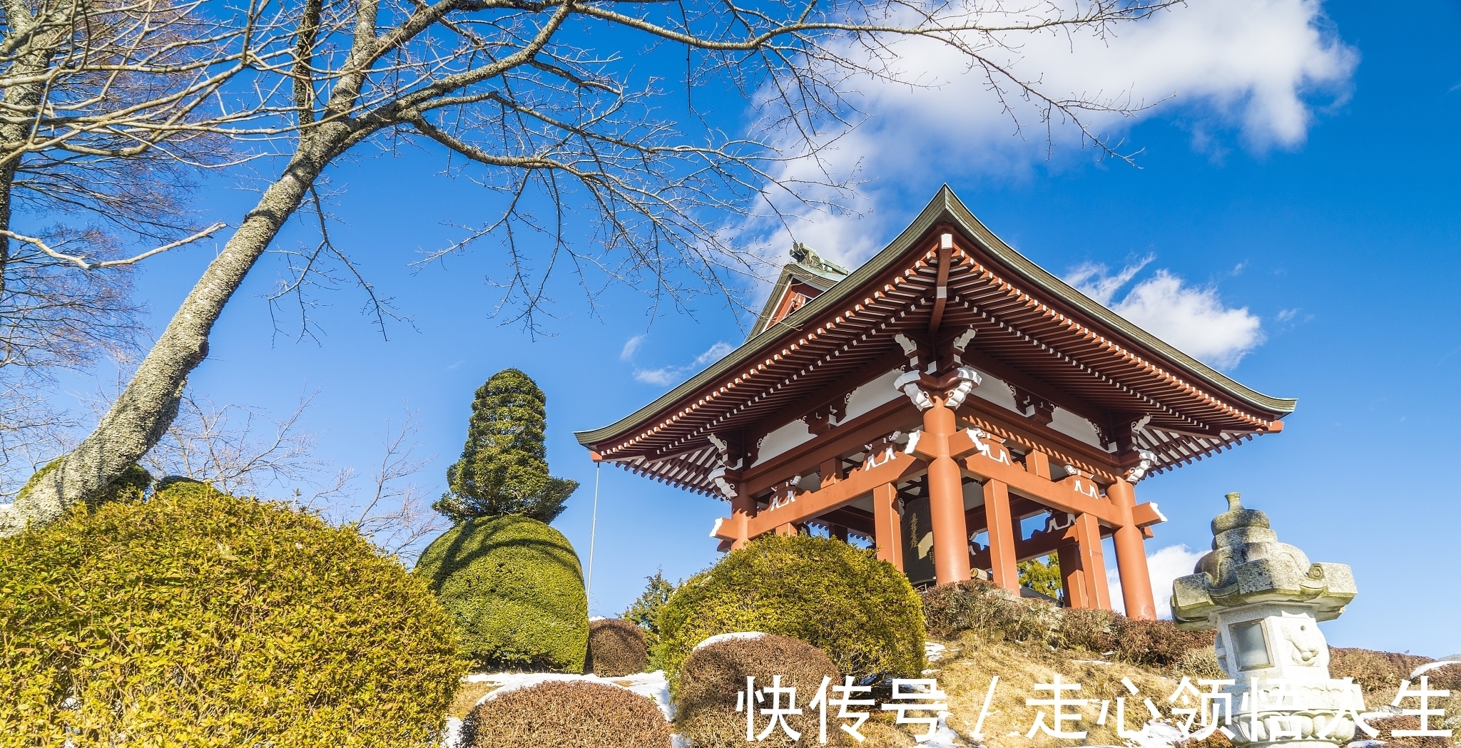 诗人!宋诗精华五首,其中一首是王安石的送别佳作,值得一读