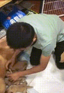 |搞笑GIF:如果再给我一次选择的机会,我绝对不会生这么多