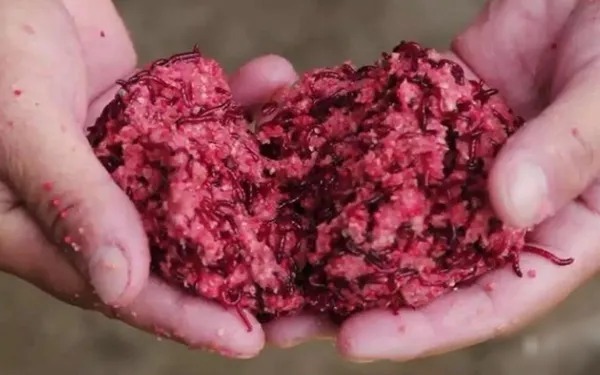 钓了半辈子鱼,才知道拉饵有这“顶尖”用法,可别轻易告诉别人哦